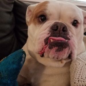 Meet your Posher, Lisa